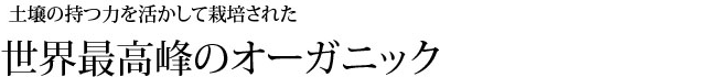 オーガニックウェイ