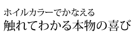 ホイルカラーでかなえる触れてわかる本物の喜び