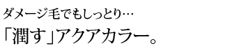 高濃度ナノ艶スチーム使用