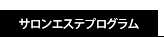 サロンエステプログラム