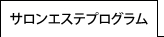 サロンエステプログラム