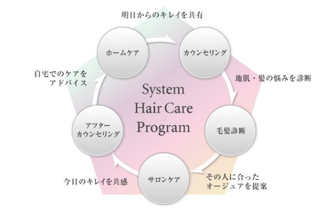 システム ヘアケア プログラム
