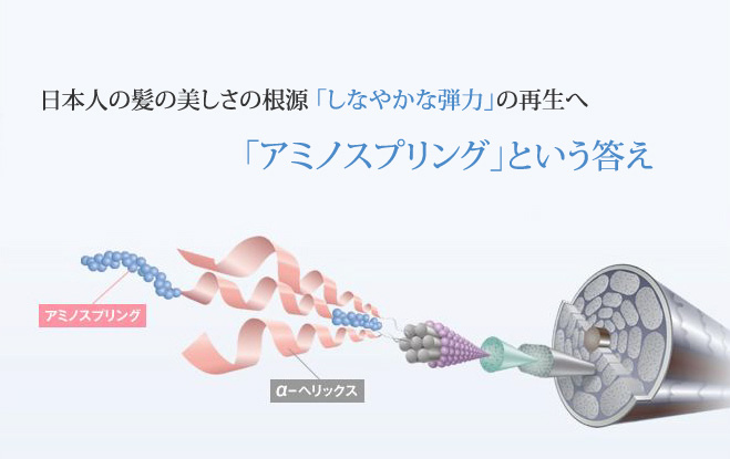 日本人の髪の美しさの根源「しなやかな弾力」の再生へ　アミノスプリングという応答え