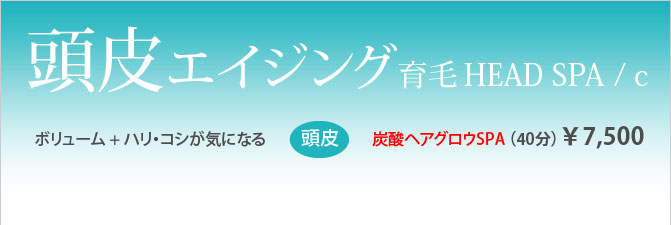 頭皮エイジング育毛スパ　ボリューム＋ハリ・コシが気になる　40分6500円