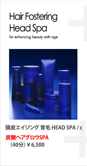頭皮エイジング育毛ヘッドスパ　炭酸ヘアグロウスパ　40分6500円