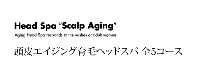頭皮エイジング育毛ヘッドスパ全4コース