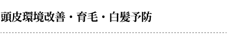 頭皮環境改善・育毛・白髪予防