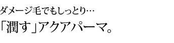 潤すアクアパーマ