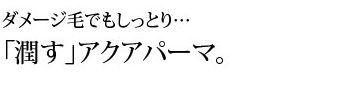 潤すアクアパーマ