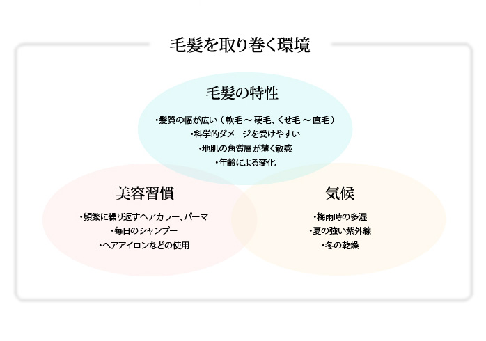 毛髪を取り巻く環境 毛髪の特性・美容習慣・気候