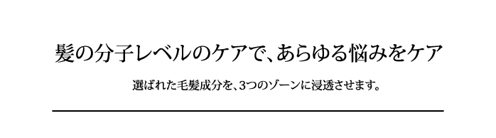 髪の分子レベルのケアで、あらゆる悩みをケア　選ばれた毛髪成分を、3つのゾーンに浸透させます