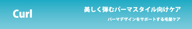 美しく弾むパーマスタイル向けケア　パーマデザインをサポート毛髪ケア